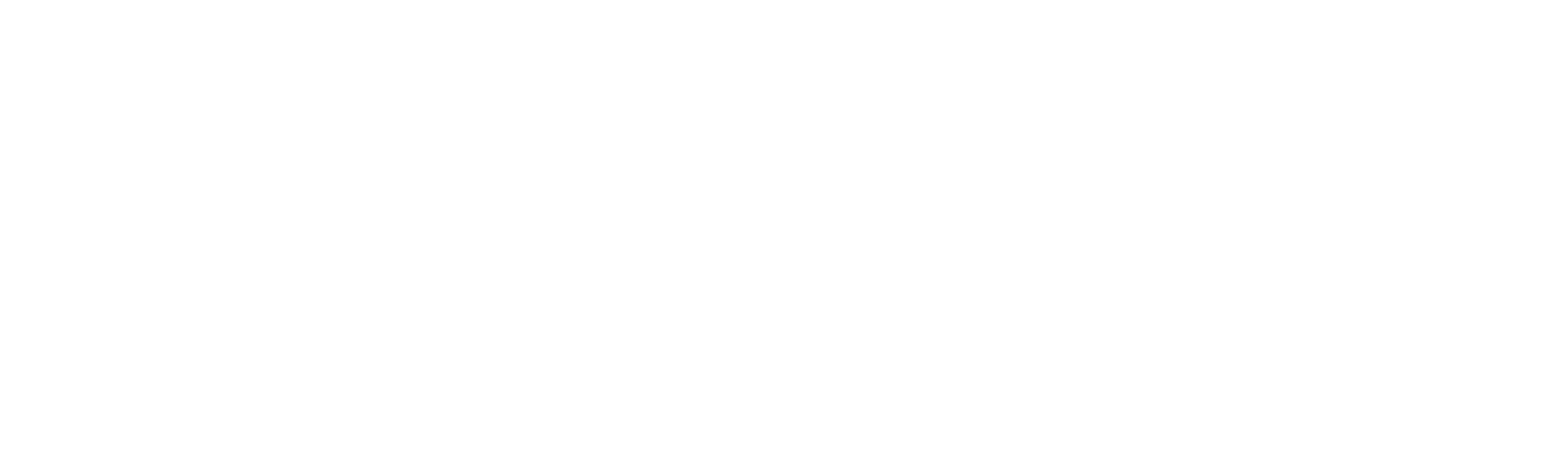 Bloom Ventures